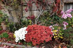 K640_IMG-20201122-WA0037