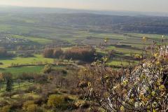 K640_IMG-20201123-WA0008