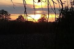 K640_IMG-20201126-WA0010
