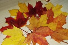 K640_IMG_20191013_164206