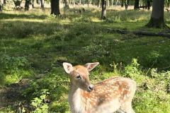 K640_20251003_111306