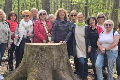 K640_20260418_110619