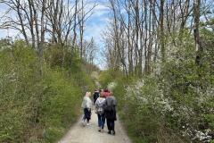 K640_IMG-20260418-WA0106