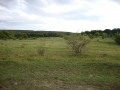 K1024_DSC08137