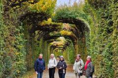 K640_IMG-20251019-WA0066