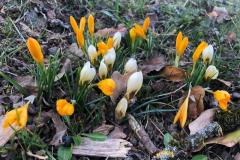 K640_IMG-20210226-WA0016