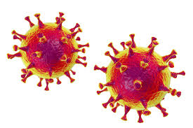 Bildergebnis für coronavirus
